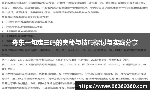 舟东一句定三码的奥秘与技巧探讨与实践分享